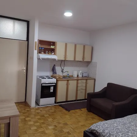Apartment Vesna *