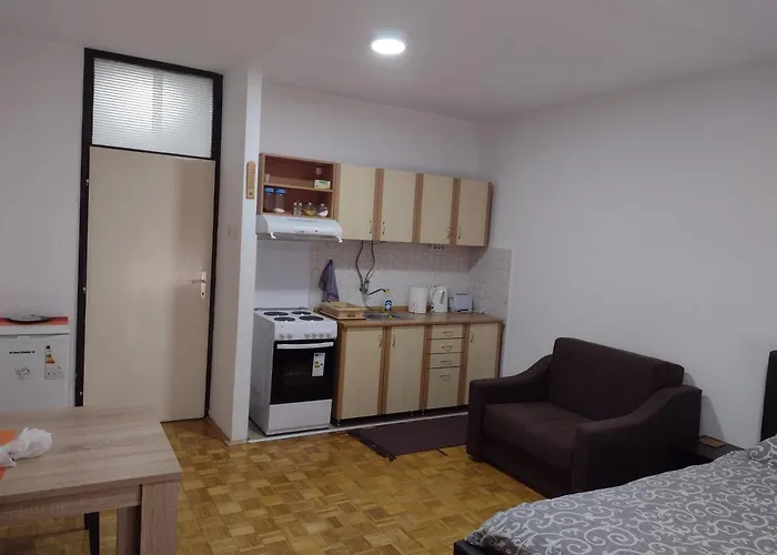 Appartamento Vesna *